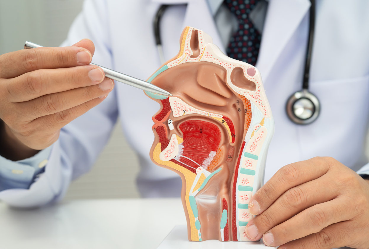 Balloon Sinuplasty vs. Endoscopic Sinus Surgery